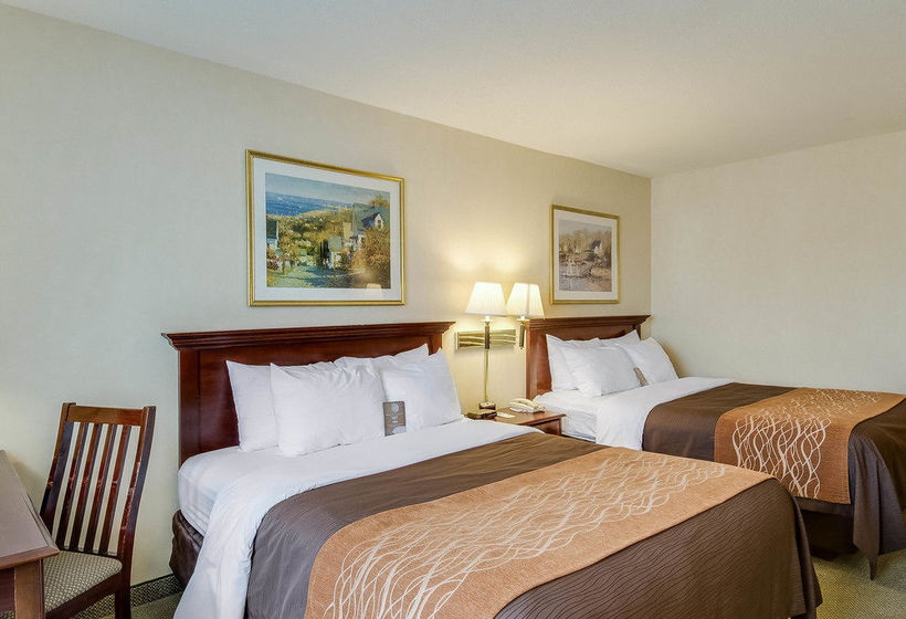 Hotel Comfort Inn Plymouth  | Plymouth | Massachusetts | United States 20