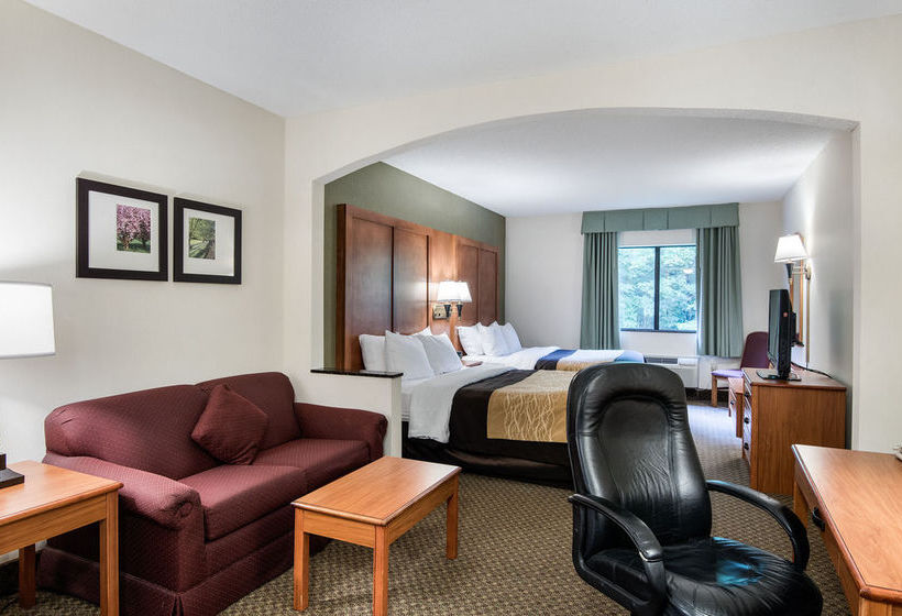 Hotel Comfort Inn & Suites 