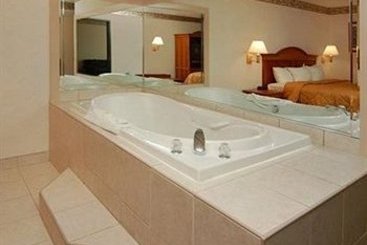 Hotel Comfort Inn Ann Arbor  | Ann Arbor | Michigan | United States 10