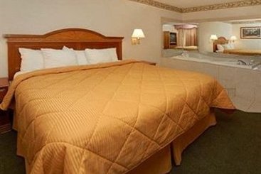 Hotel Comfort Inn Ann Arbor  | Ann Arbor | Michigan | United States 11