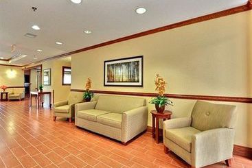Hotel Comfort Inn Ann Arbor  | Ann Arbor | Michigan | United States 15