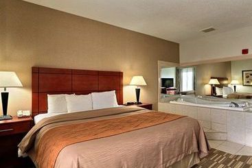 Hotel Comfort Inn Ann Arbor  | Ann Arbor | Michigan | United States 17