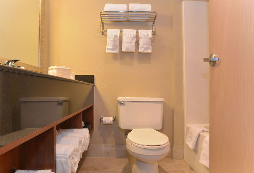 Hotel Comfort Inn Near Worlds Of Fun  | Kansas City | Missouri | United States 1