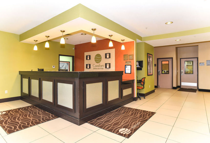 Hotel Comfort Inn Near Worlds Of Fun  | Kansas City | Missouri | United States 19