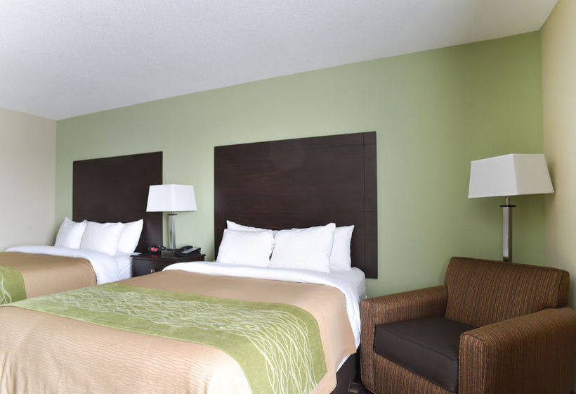Hotel Comfort Inn Near Worlds Of Fun  | Kansas City | Missouri | United States 6