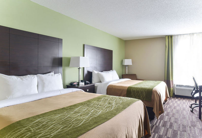 Hotel Comfort Inn Near Worlds Of Fun  | Kansas City | Missouri | United States 7