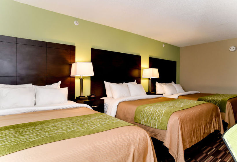 Hotel Comfort Inn Near Worlds Of Fun  | Kansas City | Missouri | United States 9