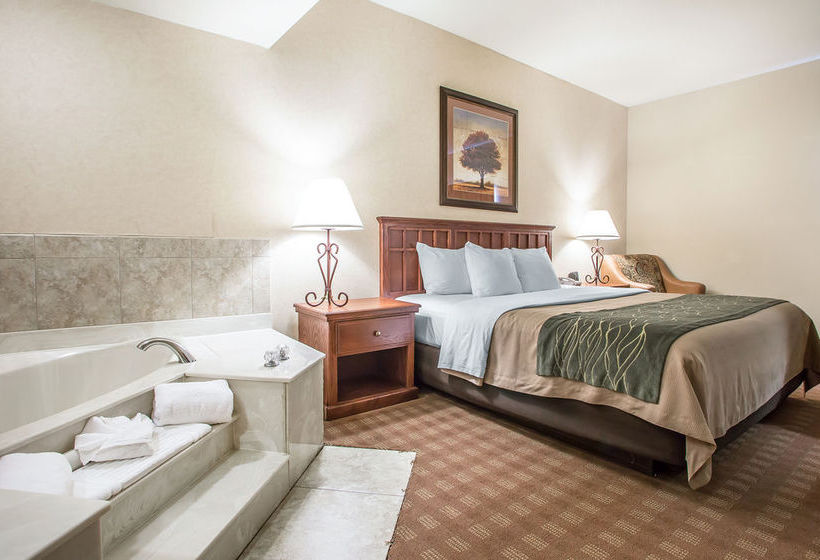 Hôtel Comfort Inn St. Robert Fort Leonard Wood  | St. Robert | Missouri | Hôtels aux États-Unis 16