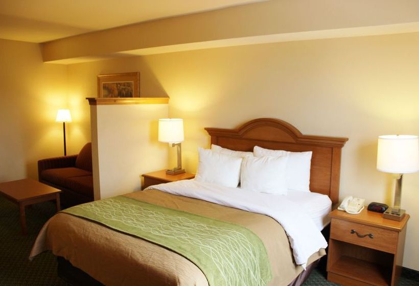 Hotel Comfort Inn & Suites  | Chesterfield | Missouri | United States 11