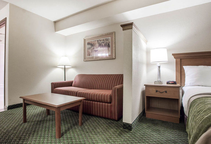 Hotel Comfort Inn & Suites  | Chesterfield | Missouri | United States 13