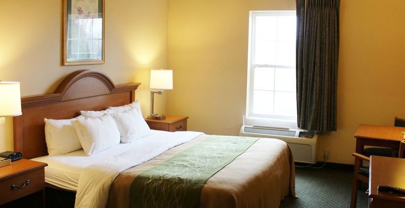 Hotel Comfort Inn & Suites  | Chesterfield | Missouri | United States 7