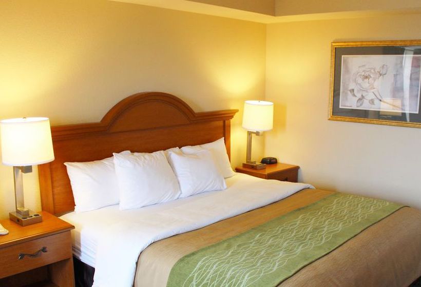Hotel Comfort Inn & Suites  | Chesterfield | Missouri | United States 8