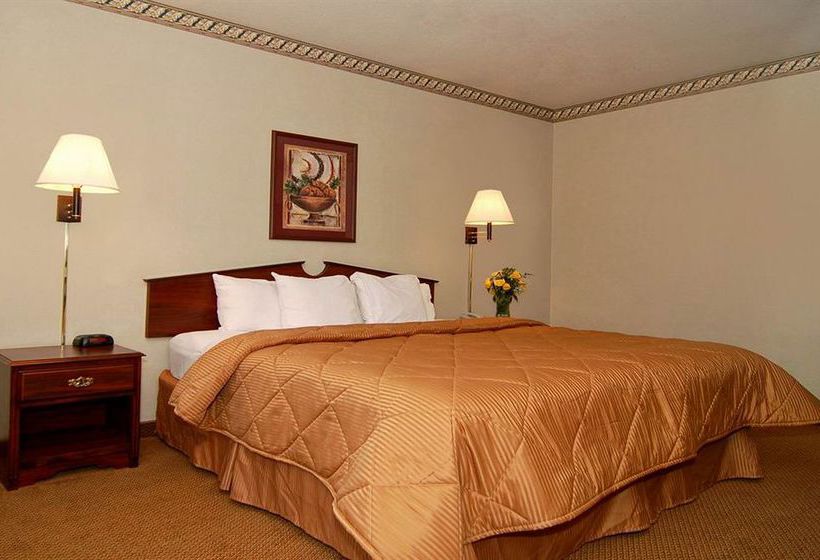 Hotel Comfort Inn Carlsbad  | Carlsbad | New Mexico | United States 5