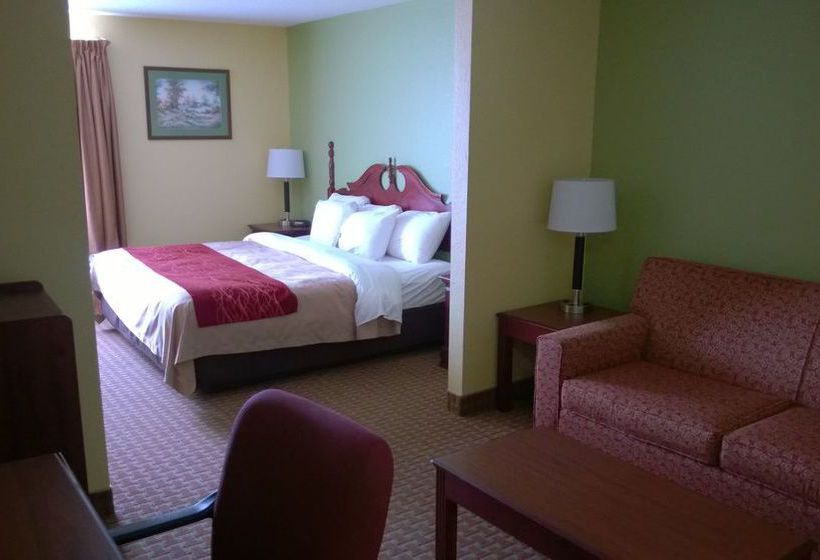 Hotel Comfort Inn & Suites  | Dayton | Ohio | United States 2