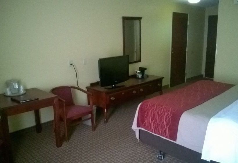 Hotel Comfort Inn & Suites  | Dayton | Ohio | United States 4