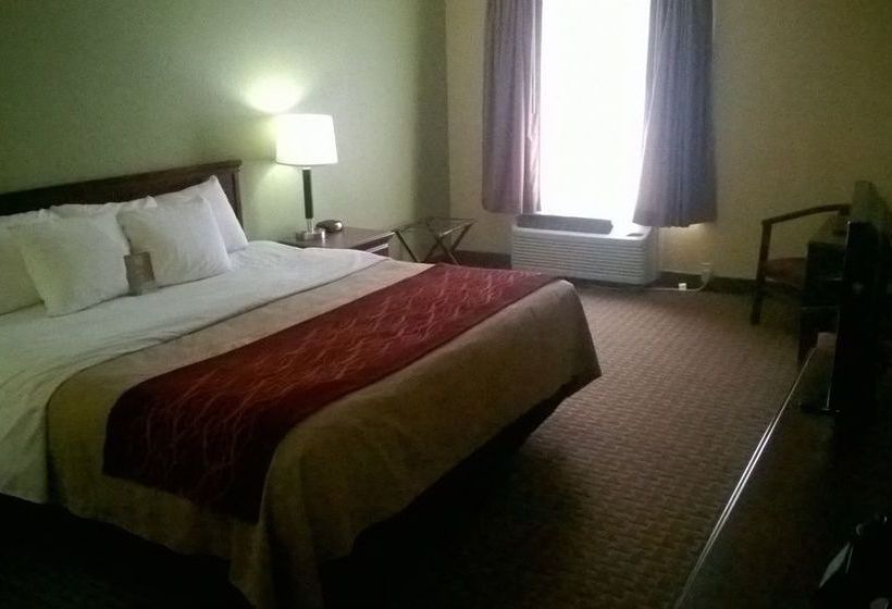 Hotel Comfort Inn & Suites  | Dayton | Ohio | United States 6