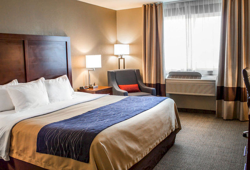 Hotel Comfort Inn & Suites Fremont 