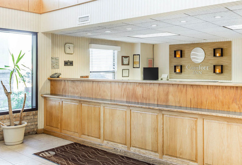 Hotel Comfort Inn Surfside Beach  | Surfside Beach | South Carolina | United States 7