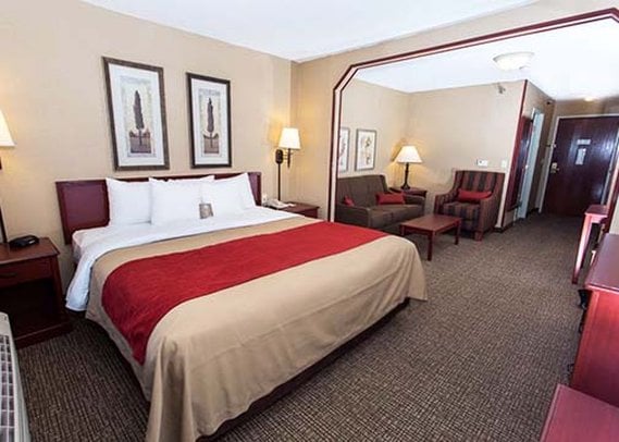Hotel Comfort Inn & Suites  | Rapid City | South Dakota | United States 7