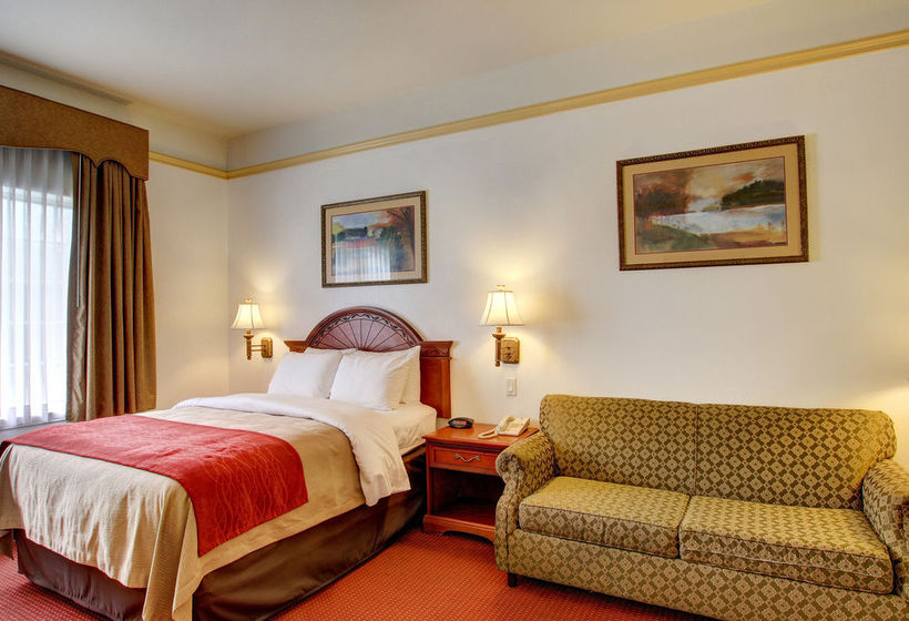 Hotel Comfort Inn Cleburne  | Cleburne | Texas | United States 5