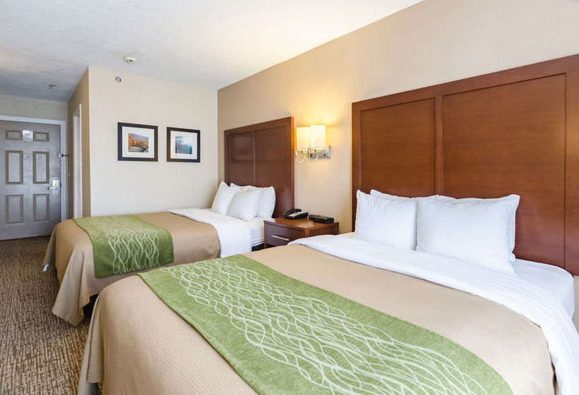 Hotel Comfort Inn Wytheville  | Wytheville | Virginia | United States 16