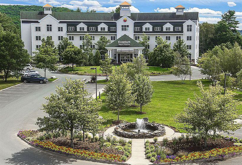 Hotel Comfort Inn & Suites 