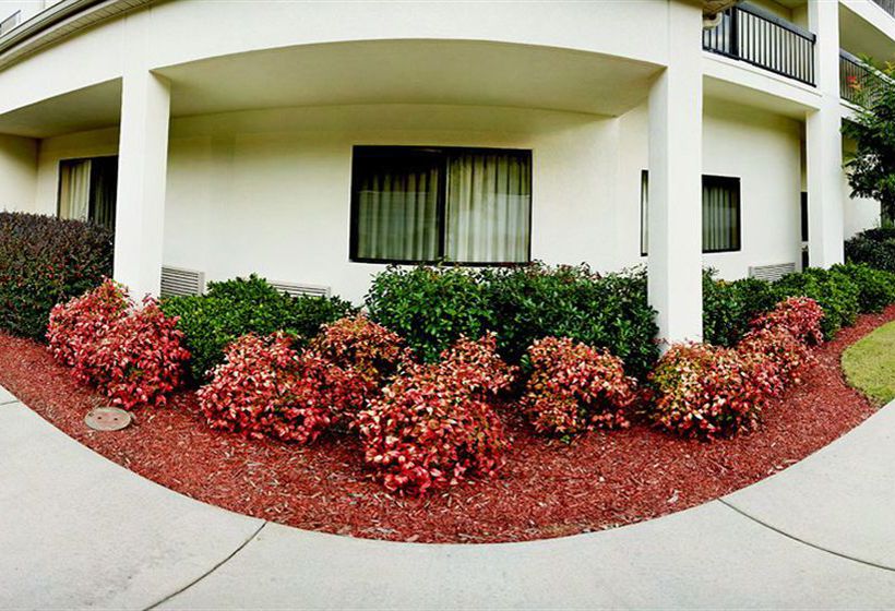 Hotel Courtyard Atlanta Suwanee  | Suwanee | Georgia | United States 2