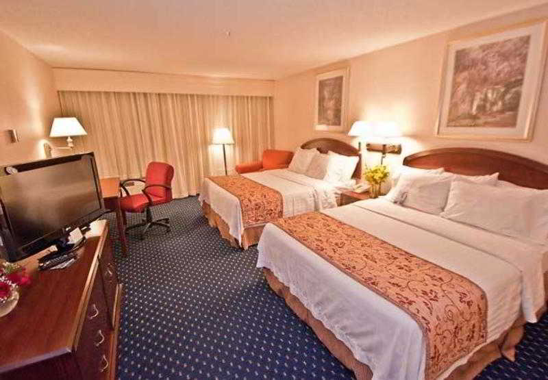 Hotel Courtyard by Marriott Colorado Springs South  | Colorado Springs | Colorado | United States 5