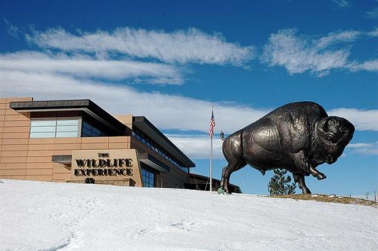 Hotel Courtyard Denver South Park Meadows Mall  | Englewood | Colorado | United States 12