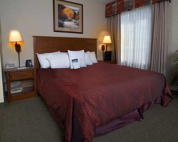 Hotel Homewood Suites by Hilton Albuquerque-Journal Center  | Albuquerque | New Mexico | United States 2