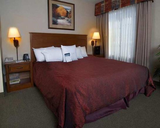 Hotel Homewood Suites by Hilton Albuquerque-Journal Center  | Albuquerque | New Mexico | United States 3
