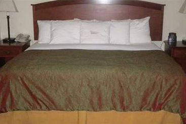 Hotel Homewood Suites by Hilton Anchorage, AK  | Anchorage | Alaska | United States 5