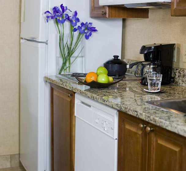 Hotel Homewood Suites by Hilton Lubbock  | Lubbock | Texas | Estados Unidos 2