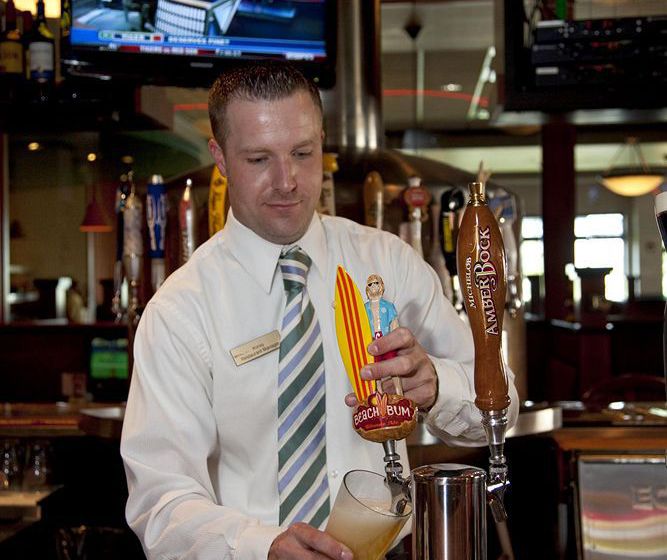 Hotel Holiday Inn Owatonna   | Owatonna | Minnesota | United States 16