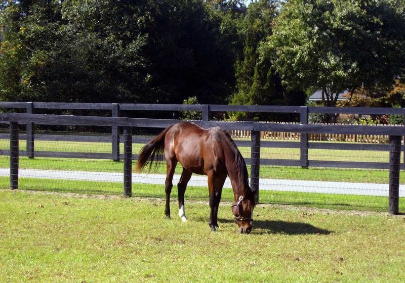 Hôtel Hampton Inn Aiken  | Aiken | Caroline du Sud | Hôtels aux États-Unis 11