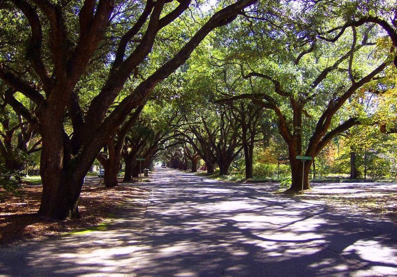 Hôtel Hampton Inn Aiken  | Aiken | Caroline du Sud | Hôtels aux États-Unis 6