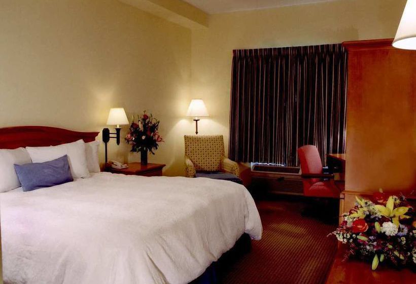 Hotel Hampton Inn & Suites Austin-Airport  | Austin | Texas | United States 9