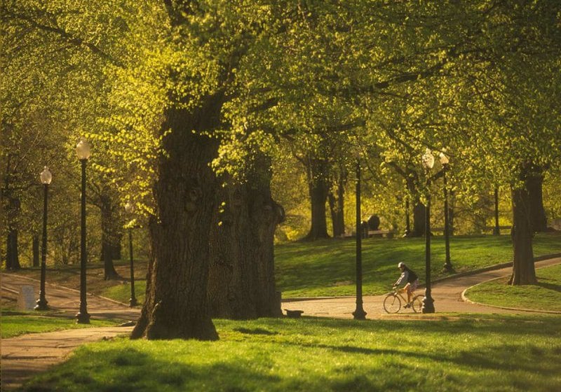 Hotel Hampton Inn Boston Cambridge  | Cambridge | Massachusetts | United States 20