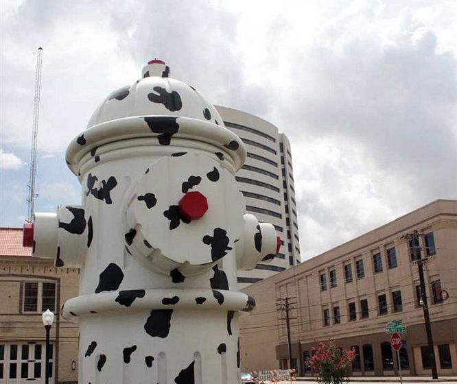 Hotel Hampton Inn Beaumont  | Beaumont | Texas | Vereinigte Staaten 5