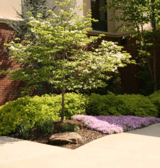 Hotel Hampton Inn & Suites Hazard 