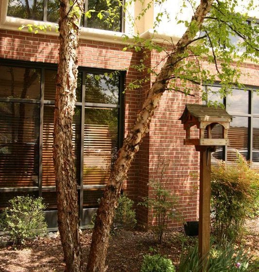 Hotel Hampton Inn & Suites Hazard  | Hazard | Kentucky | Estados Unidos 2