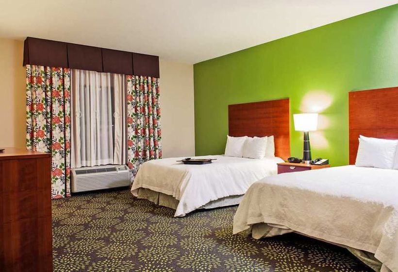 Hotel Hampton Inn & Suites Harlingen  | Harlingen | Texas | United States 12