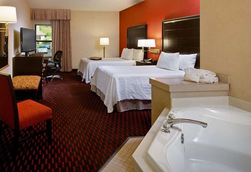 Hotel Hampton Inn MT. Pleasant  | Mount Pleasant | Michigan | United States 13