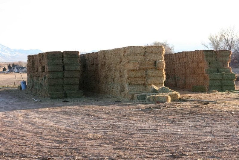 Hotel Hampton Inn Richfield  | Richfield | Utah | Hotel negli Stati Uniti 16