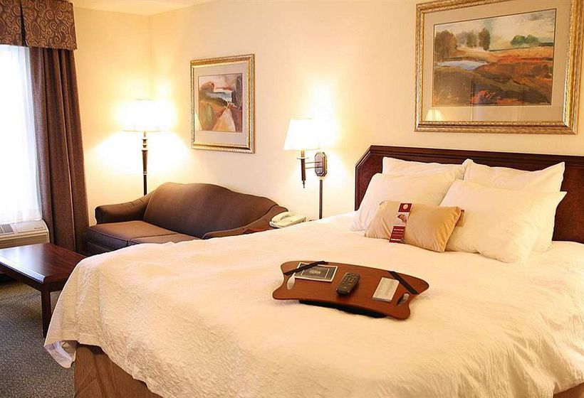 Hotel Hampton Inn & Suites San Marcos  | San Marcos | Texas | United States 15