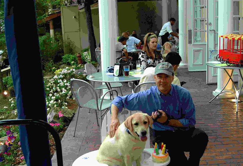 Hotel Indigo Atlanta Midtown  | Atlanta | Georgia | United States 20