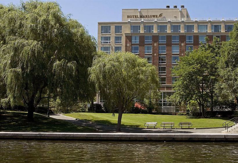 Hotel Marlowe  | Cambridge | Massachusetts | United States 17