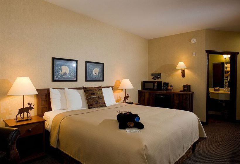 Hotel Stoney Creek Inn  | Onalaska | Wisconsin | United States 7