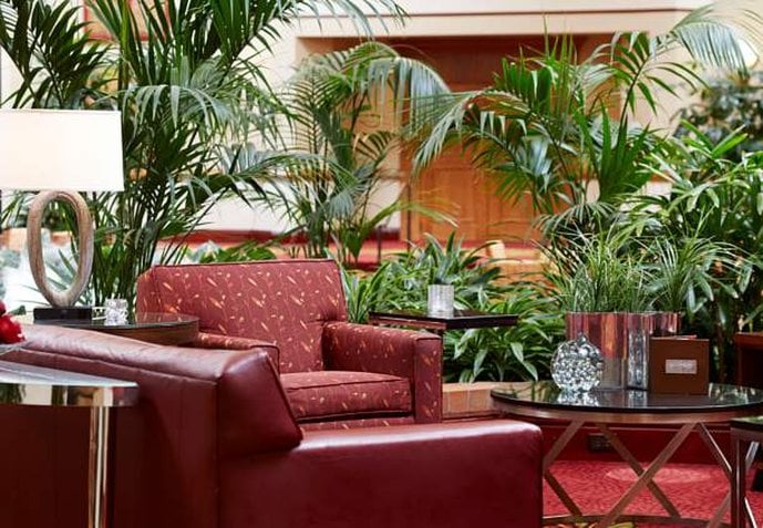 Hotel Austin Marriott North  | Round Rock | Texas | United States 5