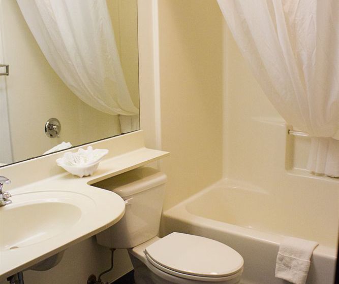 Hotel Mt. Pleasant Inn & Suites   | Mount Pleasant | Michigan | United States 7